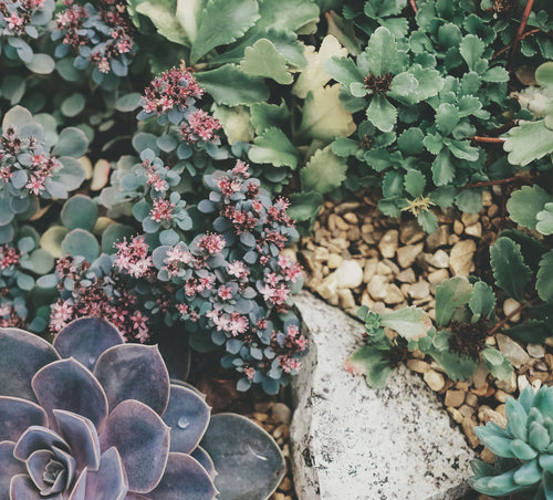 Artificially added category