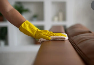 Premium Leather cleaning and protection kits